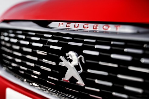Peugeot 308R Concept Grille- carwitter