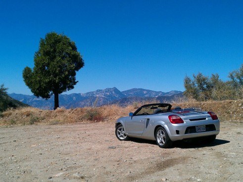 Toyota MR2 Spyder Rear Tree - carwitter