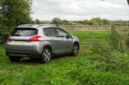 Peugeot 2008 Review - Side Angle - carwitter