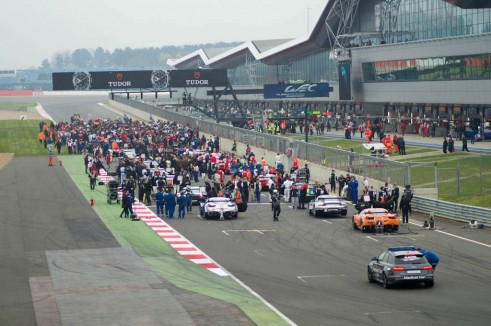 WEC 2014 Silverstone - Grid - carwitter