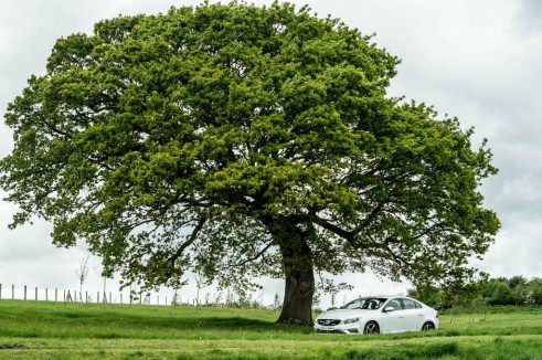 2014 Volvo S60 D4 Review - Tree Scene - carwitter