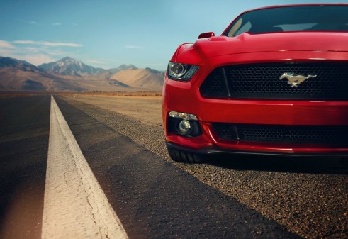 2015 Ford Mustang - Grille - carwitter