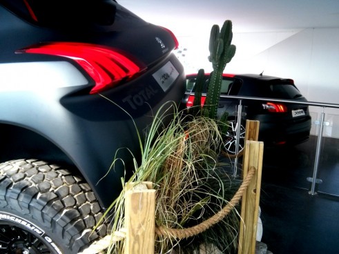 Pug,308R,2008,Dakar,Carwitter