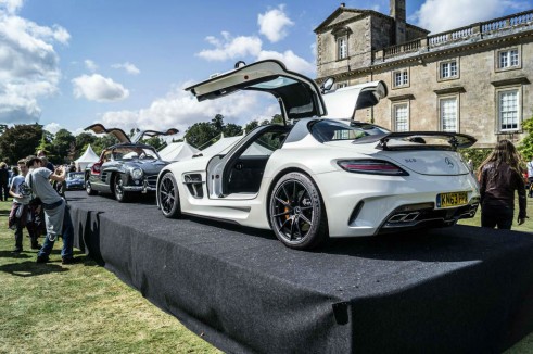 Wilton House 2014 - Carwitter - 010