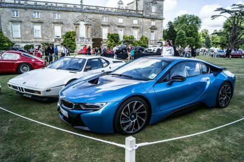 Wilton House 2014 - Carwitter - 011
