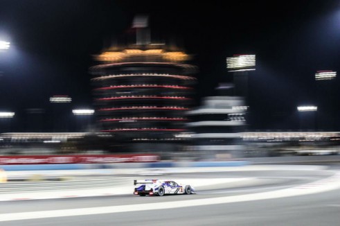 2014 WEC 3  - carwitter